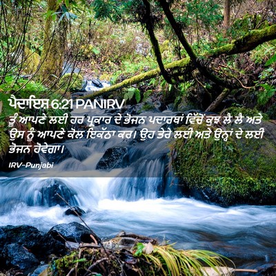 Picture 02 - ਪੈਦਾਇਸ਼ 6:21 PANIRV - ਤੂੰ ਆਪਣੇ ਲਈ ਹਰ - Bible Verse Picture