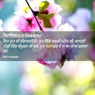 Picture 02 - ਪੈਦਾਇਸ਼ 6:9 PANIRV - ਇਹ ਨੂਹ ਦੀ ਵੰਸ਼ਾਵਲੀ - Bible Verse Picture