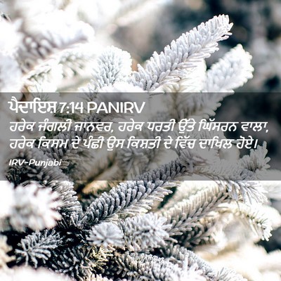 Picture 02 - ਪੈਦਾਇਸ਼ 7:14 PANIRV - ਹਰੇਕ ਜੰਗਲੀ ਜਾਨਵਰ, - Bible Verse Picture