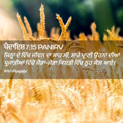 Picture 02 - ਪੈਦਾਇਸ਼ 7:15 PANIRV - ਜਿਨ੍ਹਾਂ ਦੇ ਵਿੱਚ - Bible Verse Picture