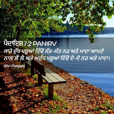 Picture 02 - ਪੈਦਾਇਸ਼ 7:2 PANIRV - ਸਾਰੇ ਸ਼ੁੱਧ ਪਸ਼ੂਆਂ - Bible Verse Picture