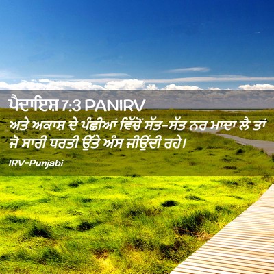 Picture 02 - ਪੈਦਾਇਸ਼ 7:3 PANIRV - ਅਤੇ ਅਕਾਸ਼ ਦੇ - Bible Verse Picture
