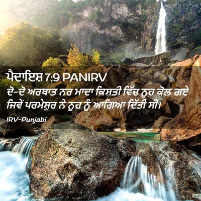 Picture 02 - ਪੈਦਾਇਸ਼ 7:9 PANIRV - ਦੋ-ਦੋ ਅਰਥਾਤ ਨਰ ਮਾਦਾ - Bible Verse Picture