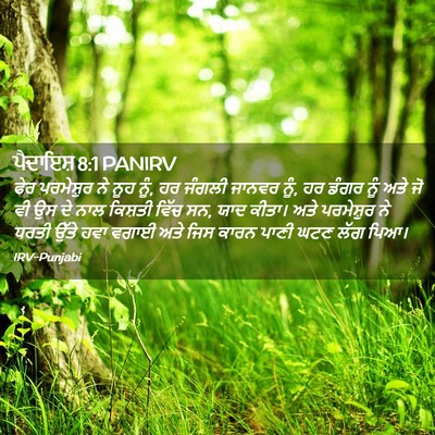 Picture 02 - ਪੈਦਾਇਸ਼ 8:1 PANIRV - ਫੇਰ ਪਰਮੇਸ਼ੁਰ ਨੇ - Bible Verse Picture