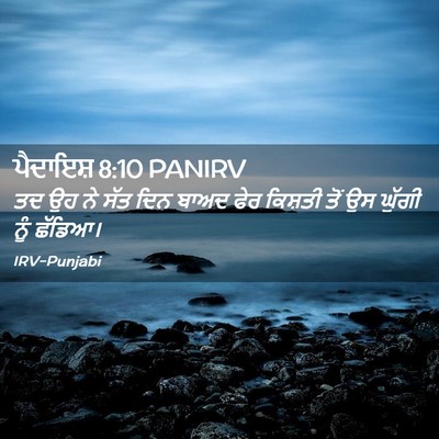 Picture 02 - ਪੈਦਾਇਸ਼ 8:10 PANIRV - ਤਦ ਉਹ ਨੇ ਸੱਤ ਦਿਨ - Bible Verse Picture