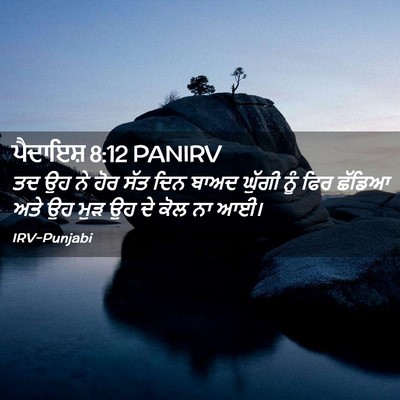 Picture 02 - ਪੈਦਾਇਸ਼ 8:12 PANIRV - ਤਦ ਉਹ ਨੇ ਹੋਰ ਸੱਤ - Bible Verse Picture