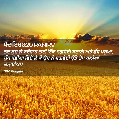 Picture 02 - ਪੈਦਾਇਸ਼ 8:20 PANIRV - ਤਦ ਨੂਹ ਨੇ ਯਹੋਵਾਹ ਲਈ - Bible Verse Picture