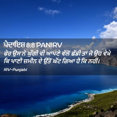 Picture 02 - ਪੈਦਾਇਸ਼ 8:8 PANIRV - ਫੇਰ ਉਸ ਨੇ ਘੁੱਗੀ ਵੀ - Bible Verse Picture