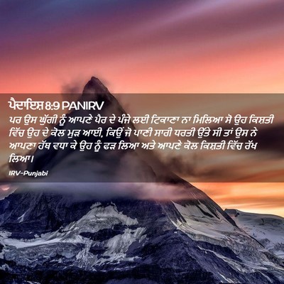 Picture 02 - ਪੈਦਾਇਸ਼ 8:9 PANIRV - ਪਰ ਉਸ ਘੁੱਗੀ ਨੂੰ - Bible Verse Picture