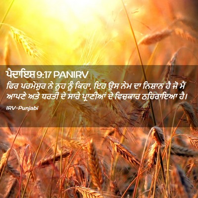 Picture 02 - ਪੈਦਾਇਸ਼ 9:17 PANIRV - ਫਿਰ ਪਰਮੇਸ਼ੁਰ ਨੇ - Bible Verse Picture