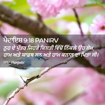 Picture 02 - ਪੈਦਾਇਸ਼ 9:18 PANIRV - ਨੂਹ ਦੇ ਪੁੱਤਰ ਜਿਹੜੇ - Bible Verse Picture