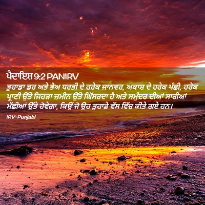 Picture 02 - ਪੈਦਾਇਸ਼ 9:2 PANIRV - ਤੁਹਾਡਾ ਡਰ ਅਤੇ ਭੈਅ - Bible Verse Picture