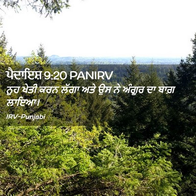 Picture 02 - ਪੈਦਾਇਸ਼ 9:20 PANIRV - ਨੂਹ ਖੇਤੀ ਕਰਨ ਲੱਗਾ - Bible Verse Picture