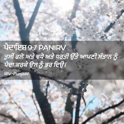 Picture 02 - ਪੈਦਾਇਸ਼ 9:7 PANIRV - ਤੁਸੀਂ ਫਲੋ ਅਤੇ ਵਧੋ - Bible Verse Picture