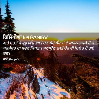 Picture 02 - ਫਿਲਿੱਪੀਆਂ 1:14 PANIRV - ਅਤੇ ਬਹੁਤੇ ਜੋ ਪ੍ਰਭੂ - Bible Verse Picture