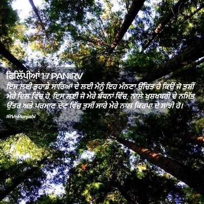 Picture 02 - ਫਿਲਿੱਪੀਆਂ 1:7 PANIRV - ਇਸ ਲਈ ਤੁਹਾਡੇ - Bible Verse Picture