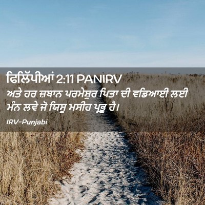 Picture 02 - ਫਿਲਿੱਪੀਆਂ 2:11 PANIRV - ਅਤੇ ਹਰ ਜ਼ਬਾਨ - Bible Verse Picture
