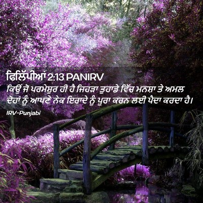 Picture 02 - ਫਿਲਿੱਪੀਆਂ 2:13 PANIRV - ਕਿਉਂ ਜੋ ਪਰਮੇਸ਼ੁਰ - Bible Verse Picture