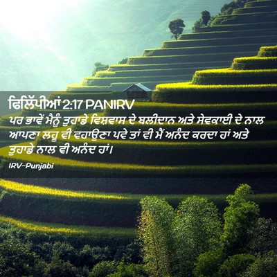Picture 02 - ਫਿਲਿੱਪੀਆਂ 2:17 PANIRV - ਪਰ ਭਾਵੇਂ ਮੈਨੂੰ - Bible Verse Picture
