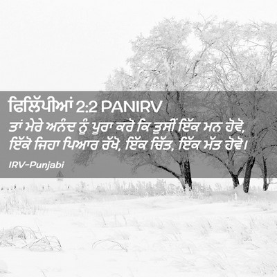 Picture 02 - ਫਿਲਿੱਪੀਆਂ 2:2 PANIRV - ਤਾਂ ਮੇਰੇ ਅਨੰਦ ਨੂੰ - Bible Verse Picture
