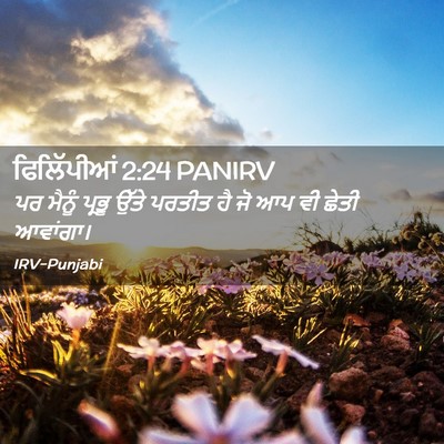 Picture 02 - ਫਿਲਿੱਪੀਆਂ 2:24 PANIRV - ਪਰ ਮੈਨੂੰ ਪ੍ਰਭੂ - Bible Verse Picture