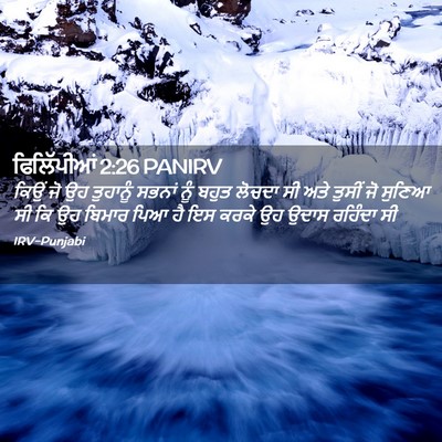 Picture 02 - ਫਿਲਿੱਪੀਆਂ 2:26 PANIRV - ਕਿਉਂ ਜੋ ਉਹ ਤੁਹਾਨੂੰ - Bible Verse Picture