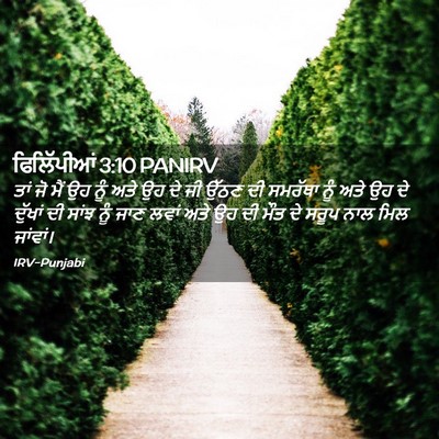 Picture 02 - ਫਿਲਿੱਪੀਆਂ 3:10 PANIRV - ਤਾਂ ਜੋ ਮੈਂ ਉਹ ਨੂੰ - Bible Verse Picture