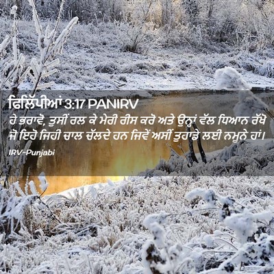 Picture 02 - ਫਿਲਿੱਪੀਆਂ 3:17 PANIRV - ਹੇ ਭਰਾਵੋ, ਤੁਸੀਂ ਰਲ - Bible Verse Picture