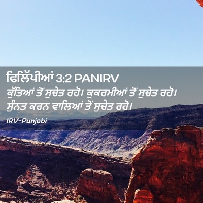 Picture 02 - ਫਿਲਿੱਪੀਆਂ 3:2 PANIRV - ਕੁੱਤਿਆਂ ਤੋਂ ਸੁਚੇਤ - Bible Verse Picture