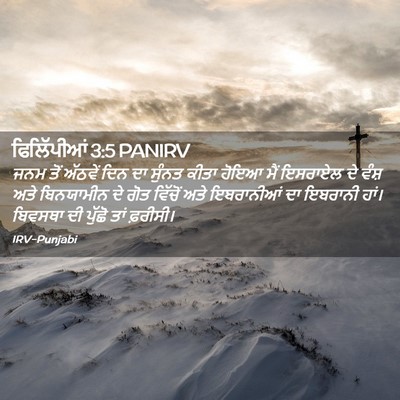 Picture 02 - ਫਿਲਿੱਪੀਆਂ 3:5 PANIRV - ਜਨਮ ਤੋਂ ਅੱਠਵੇਂ ਦਿਨ - Bible Verse Picture