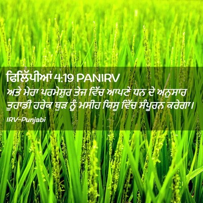 Picture 02 - ਫਿਲਿੱਪੀਆਂ 4:19 PANIRV - ਅਤੇ ਮੇਰਾ ਪਰਮੇਸ਼ੁਰ - Bible Verse Picture