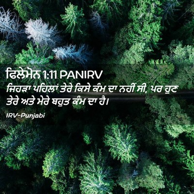 Picture 02 - ਫਿਲੇਮੋਨ 1:11 PANIRV - ਜਿਹੜਾ ਪਹਿਲਾਂ ਤੇਰੇ - Bible Verse Picture
