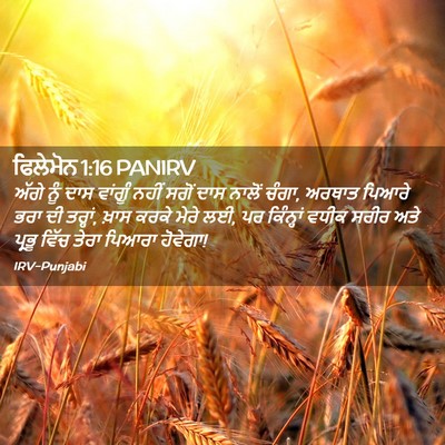 Picture 02 - ਫਿਲੇਮੋਨ 1:16 PANIRV - ਅੱਗੇ ਨੂੰ ਦਾਸ - Bible Verse Picture