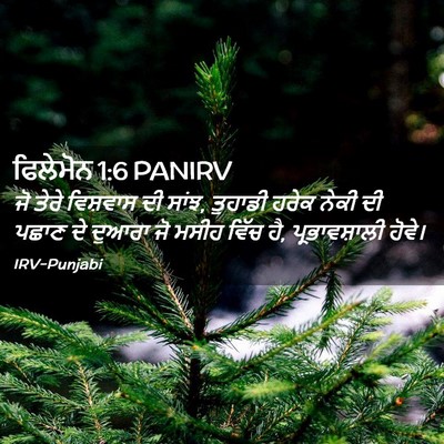 Picture 02 - ਫਿਲੇਮੋਨ 1:6 PANIRV - ਜੋ ਤੇਰੇ ਵਿਸ਼ਵਾਸ ਦੀ - Bible Verse Picture