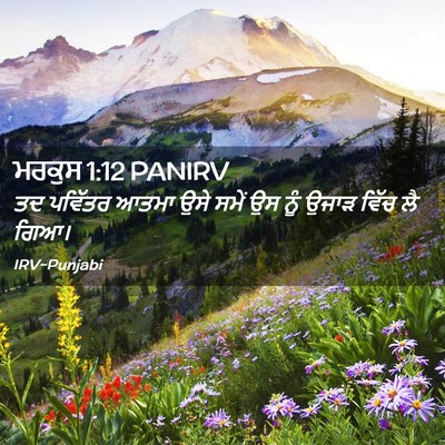 Picture 02 - ਮਰਕੁਸ 1:12 PANIRV - ਤਦ ਪਵਿੱਤਰ ਆਤਮਾ ਉਸੇ - Bible Verse Picture