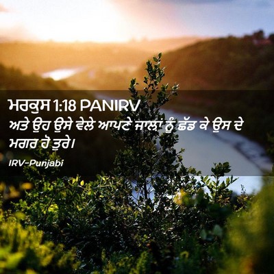 Picture 02 - ਮਰਕੁਸ 1:18 PANIRV - ਅਤੇ ਉਹ ਉਸੇ ਵੇਲੇ - Bible Verse Picture