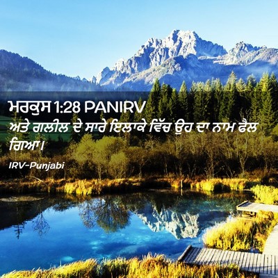 Picture 02 - ਮਰਕੁਸ 1:28 PANIRV - ਅਤੇ ਗਲੀਲ ਦੇ ਸਾਰੇ - Bible Verse Picture