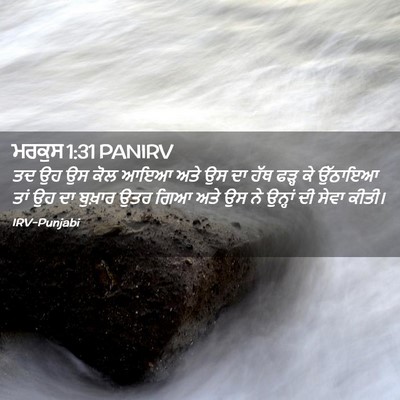 Picture 02 - ਮਰਕੁਸ 1:31 PANIRV - ਤਦ ਉਹ ਉਸ ਕੋਲ ਆਇਆ - Bible Verse Picture