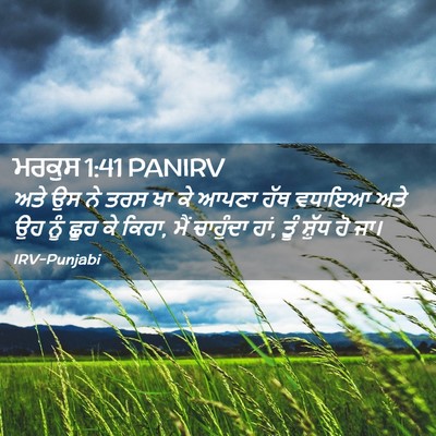 Picture 02 - ਮਰਕੁਸ 1:41 PANIRV - ਅਤੇ ਉਸ ਨੇ ਤਰਸ ਖਾ ਕੇ - Bible Verse Picture