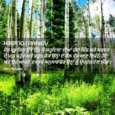 Picture 02 - ਮਰਕੁਸ 10:1 PANIRV - ਫੇਰ ਪ੍ਰਭੂ ਯਿਸੂ - Bible Verse Picture
