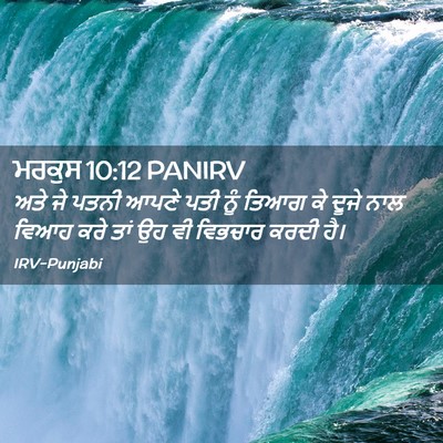 Picture 02 - ਮਰਕੁਸ 10:12 PANIRV - ਅਤੇ ਜੇ ਪਤਨੀ ਆਪਣੇ - Bible Verse Picture