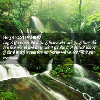 Picture 02 - ਮਰਕੁਸ 10:21 PANIRV - ਯਿਸੂ ਨੇ ਉਹ ਦੀ ਵੱਲ - Bible Verse Picture