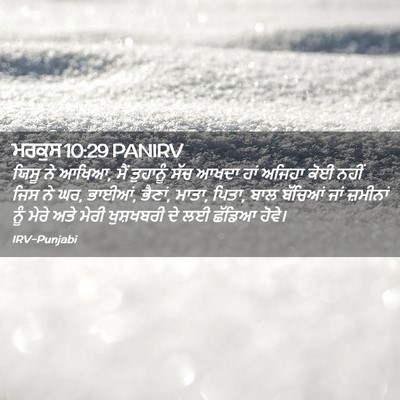 Picture 02 - ਮਰਕੁਸ 10:29 PANIRV - ਯਿਸੂ ਨੇ ਆਖਿਆ, ਮੈਂ - Bible Verse Picture