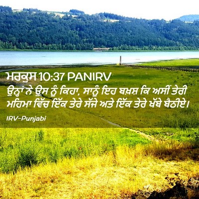 Picture 02 - ਮਰਕੁਸ 10:37 PANIRV - ਉਨ੍ਹਾਂ ਨੇ ਉਸ ਨੂੰ - Bible Verse Picture