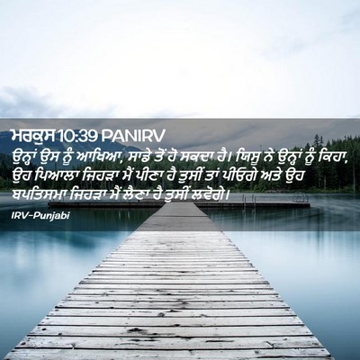 Picture 02 - ਮਰਕੁਸ 10:39 PANIRV - ਉਨ੍ਹਾਂ ਉਸ ਨੂੰ ਆਖਿਆ, - Bible Verse Picture