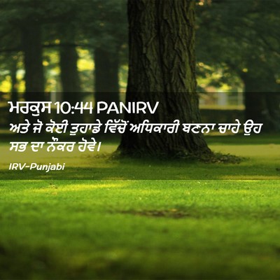 Picture 02 - ਮਰਕੁਸ 10:44 PANIRV - ਅਤੇ ਜੋ ਕੋਈ ਤੁਹਾਡੇ - Bible Verse Picture