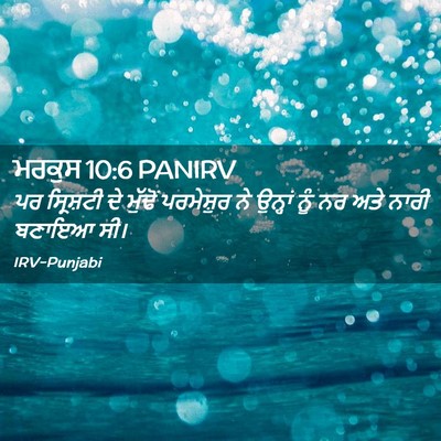 Picture 02 - ਮਰਕੁਸ 10:6 PANIRV - ਪਰ ਸ੍ਰਿਸ਼ਟੀ ਦੇ - Bible Verse Picture