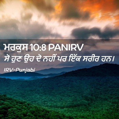 Picture 02 - ਮਰਕੁਸ 10:8 PANIRV - ਸੋ ਹੁਣ ਉਹ ਦੋ ਨਹੀਂ - Bible Verse Picture