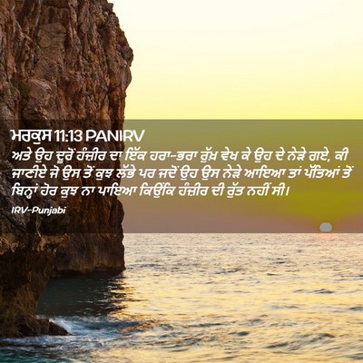 Picture 02 - ਮਰਕੁਸ 11:13 PANIRV - ਅਤੇ ਉਹ ਦੂਰੋਂ - Bible Verse Picture