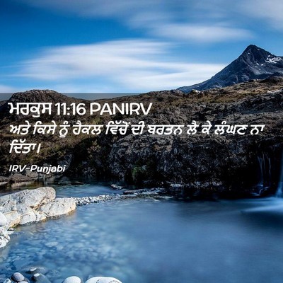 Picture 02 - ਮਰਕੁਸ 11:16 PANIRV - ਅਤੇ ਕਿਸੇ ਨੂੰ ਹੈਕਲ - Bible Verse Picture